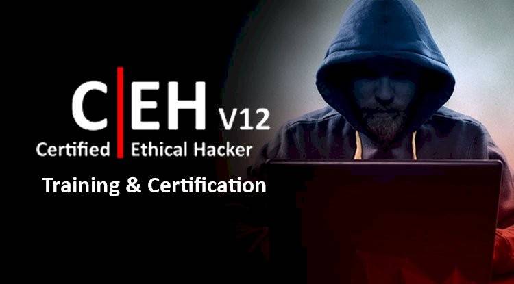 Darknetarmycom attachment id64162