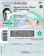 Alaska Driver License vector quality.jpg