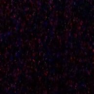 gh0st_2202