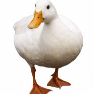 niggaballz69420
