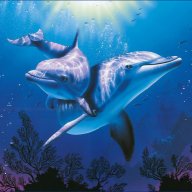 danijelcica