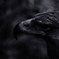 7A7k