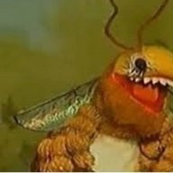 Beeb_Beeb