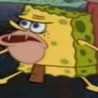 PrimitiveSponge