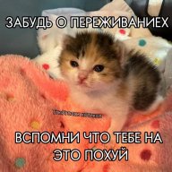 Fir