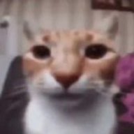 idk75