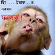 badsha007