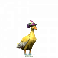 Rikik