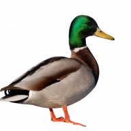 yfudyrj