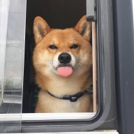 losDosUtils