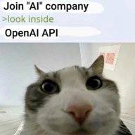 zorrapr