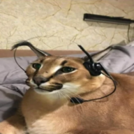 mat_oopsa