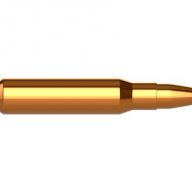 AncientBullet