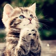 HelpMe