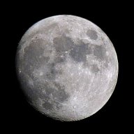 moonalisa