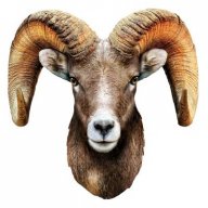 python2per