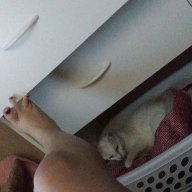 qwertyuasdfgh