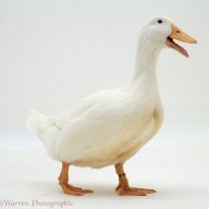 qwert6754