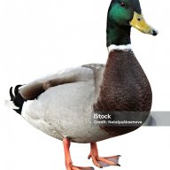 jeromeduponddd