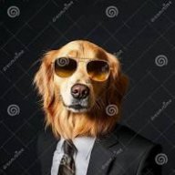 slydogg#2