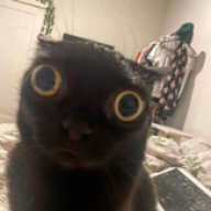 Gyourtn