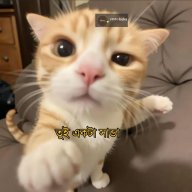 kingdaemon123