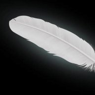 WhiteFeather