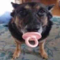 AxelCrumpet
