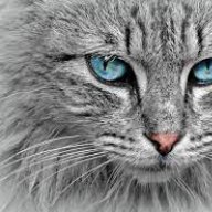 mianu