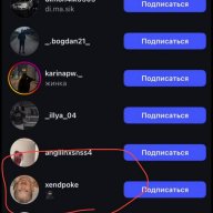 lapka333
