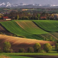 johnybrawo