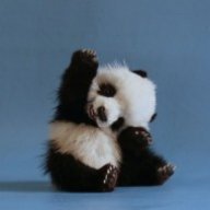selfishpanda