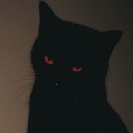 Darkshit