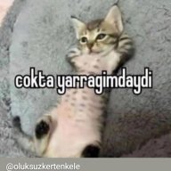 wkkqheiejwnekk