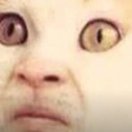Izrek