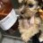 User121106