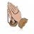 fanninlloyd