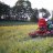 agronom
