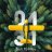 test12317+