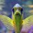 FishyFish123