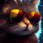Coolcat