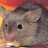 rareghostmouse