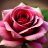 maureenMartin53